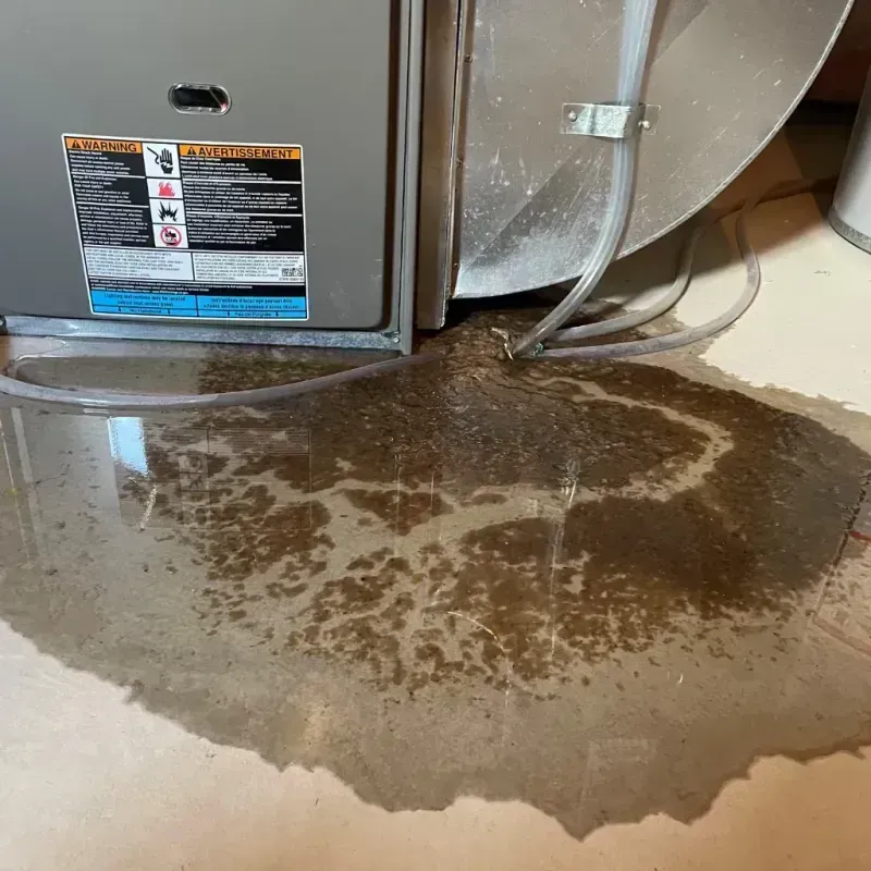 Appliance Leak Cleanup in Pope County, MN